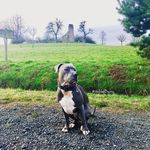 @rubygans2021 - Instagram