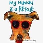 Friends of the Aztec Animal Sh - @rubygates76 - Instagram