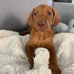 Ruby George - @rubygeorge957 - Instagram