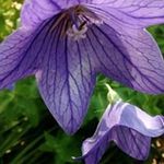 Ruby Gilbert - @gilbertruby - Instagram