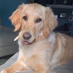 Ruby gilbert - @rubyntheruff - Instagram