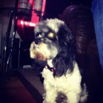 Ruby Gillespie - @ruby_the_star - Instagram