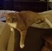 Ruby Gilliam - Facebook