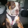 Ruby Greenwood - @ruby.greenwood93 - TikTok