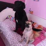 Ruby Gregory - @queenbeeisback2 - Instagram