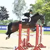 Ruby Gregory - @rg.equestrian1 - TikTok