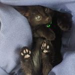 Ruby Gregory - @xxruby.09xx - Instagram