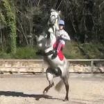 Ruby - @ruby._.gregory - Instagram