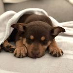 Ruby Griffin - @the.adventures.of_rubygriffin - Instagram