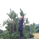 Ruby Griffith - @rubeeleung - Instagram