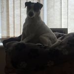 Ruby Griffiths - @rubyrose1357 - Instagram