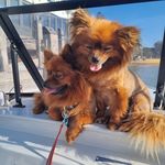 Ruby Hackett - @snuggles_2024 - Instagram