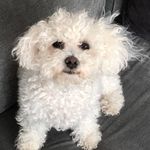 Ruby Hammond - @rubbynsherry13 - Instagram