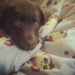 Ruby~ - @ruby_hauck - Instagram