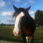Ruby Beryl Haynes - @berylfc123 - Instagram
