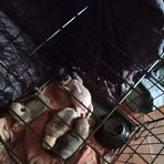 Ruby Haynes - Facebook