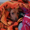 Ruby Sue Mater Tuesday Heck - @rubysuematertuesdayheck - TikTok