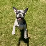 Ruby What The Heck - @rubywhattheheck - Instagram
