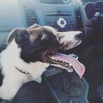 rubyhenry - @rubyhenry475 - Instagram