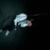 Ruby.Raine333 - @ruby_henry333 - TikTok