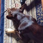 Ruby Hester - @rubyduzstuf - Instagram