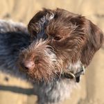 Ruby Hicks - @rubyhicks4917 - Instagram