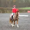 Horse girl 🐎 ❤️ - @rubyhiggins16 - TikTok