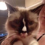 Ruby Higgins - @ruby_higgs_10 - Instagram