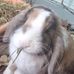 Ruby Hinton-jones - Facebook