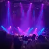 rubes - @rubyhogg1 - TikTok