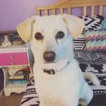 Ruby - @ruby_holmberg1418 - Instagram