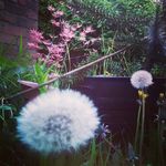 Ruby Horton - @ruby_photoz - Instagram