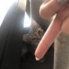 Ruby Horton - @ruby.isnt.here - TikTok