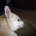 Ruby Huggins - Facebook