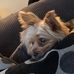 Princess Ruby Hutton - Facebook
