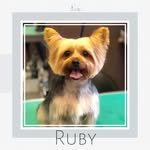 Ruby Hutton - @rubyhutton2020 - Instagram