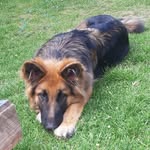 Ruby - @rubyhutton11 - Instagram