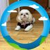 Ruby Inman - Facebook