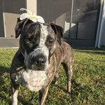 Ruby Roo Jarrett - @rubyrubyroo_weloveyou - Instagram