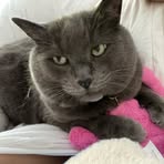 Ruby Johnston - Facebook