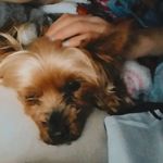 Ruby keith crosse - @rubykeithcrosse - Instagram