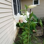 Ruby Keller - Facebook