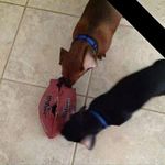 Ruby Marie Kendrick - @serenityangel702 - Instagram