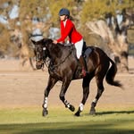 Ruby Kenny - @rjk_equestrian - Instagram