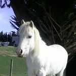 Ruby Kinney - @ruby_kinney.z - Instagram