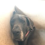 Ruby - @rubykiser2021 - Instagram
