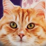 Ruby Knight - @rubyclowdercats - Instagram