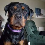 Ruby Kyle - @gr2kyle - Instagram