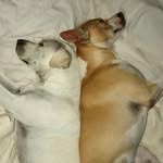 Ruby and Lacy - @_ruby_and_lacy_ - Instagram
