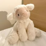 𝑅𝓊𝒷𝓎 🐹 - @_ruby_lai - Instagram